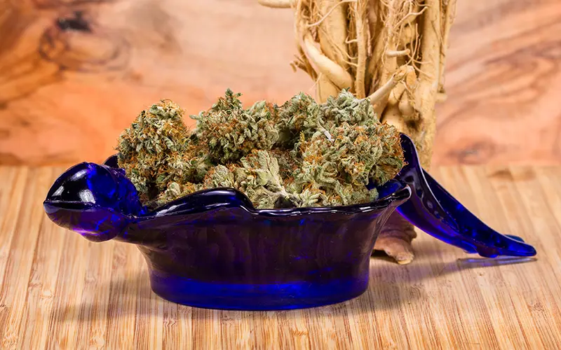 Best Exotic THCA Flower Strains